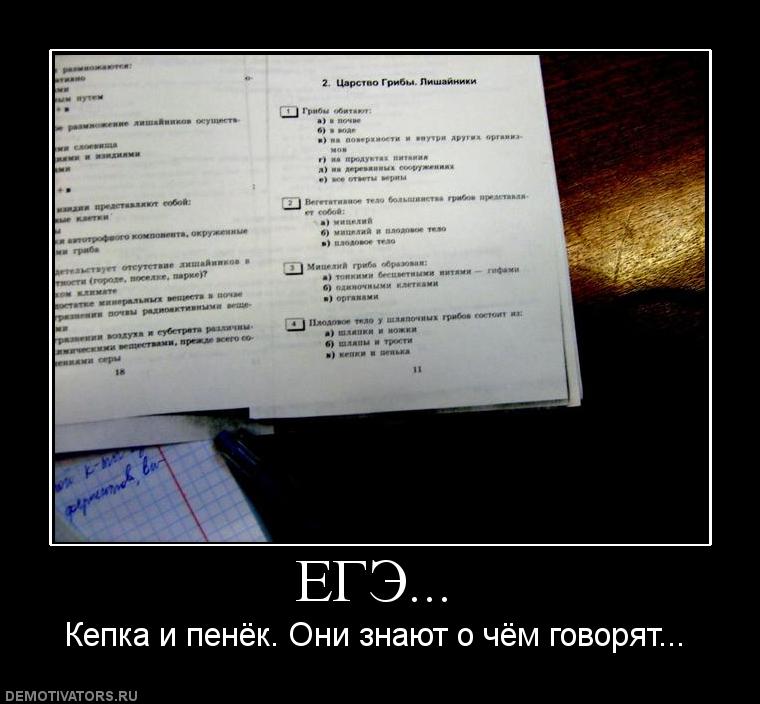 тестирование по истории россии егэ